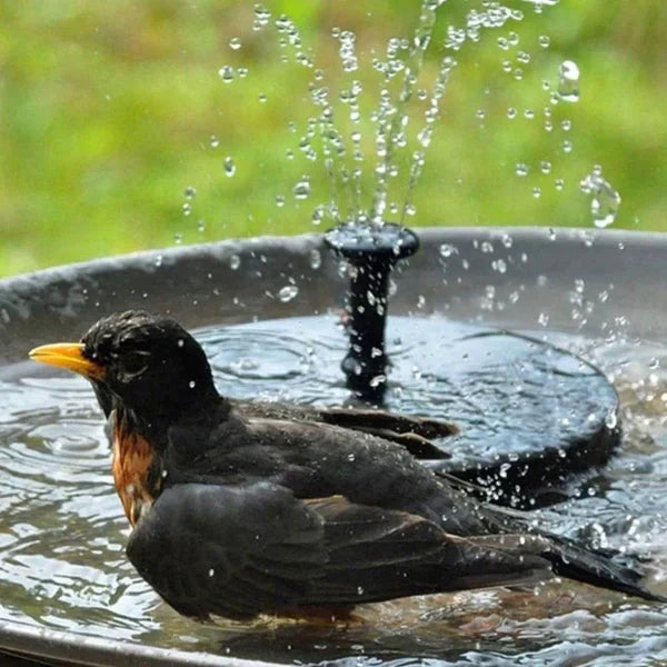 Bird Fountain with Solar Panel