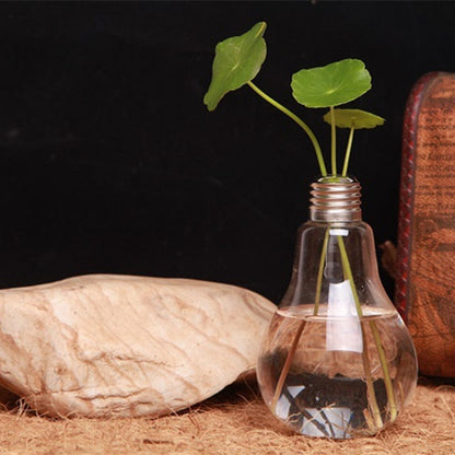 Decorative Hydroponic Bulb Plant Pot