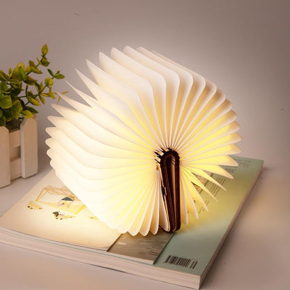 Magic Lamp Book
