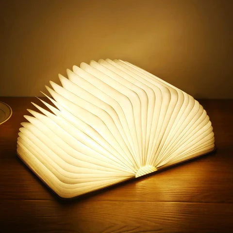 Magic Lamp Book